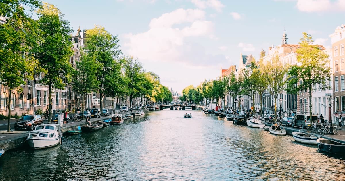 Website laten maken in Noord-Holland vergeleken